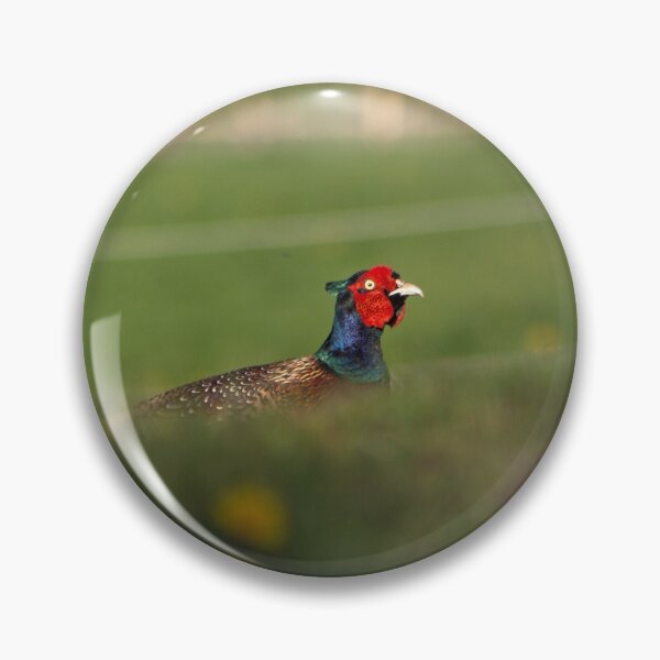Item preview, Pheasant Hiding... designed and sold by LaurenTucker.