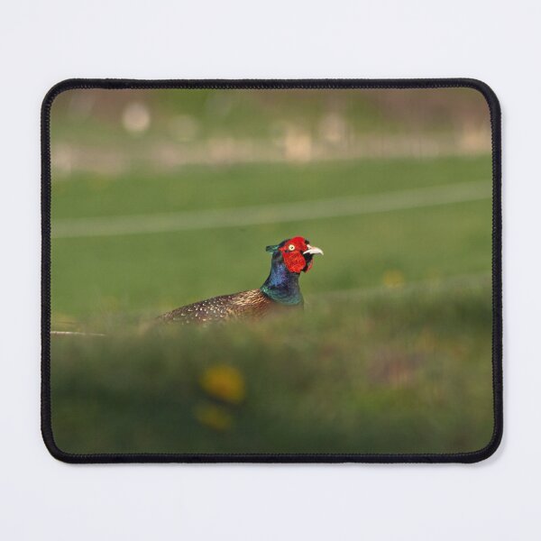 Item preview, Pheasant Hiding... designed and sold by LaurenTucker.
