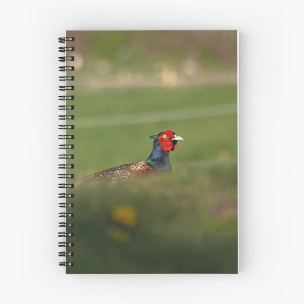 Item preview, Pheasant Hiding... designed and sold by LaurenTucker.