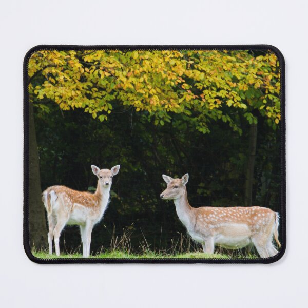 Item preview, Fallow Deer.. designed and sold by LaurenTucker.