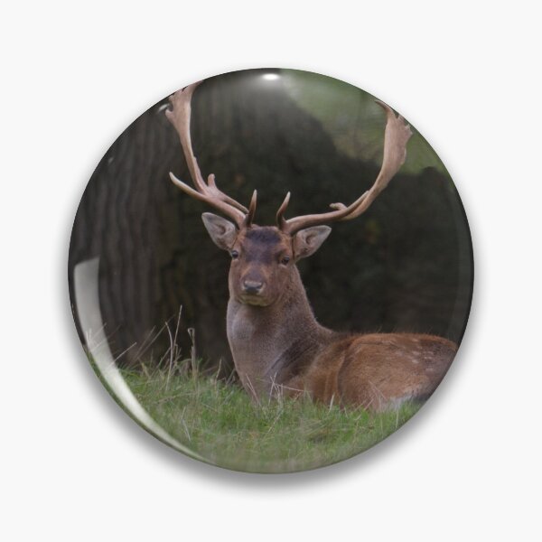 Item preview, Fallow Deer Stag.. designed and sold by LaurenTucker.