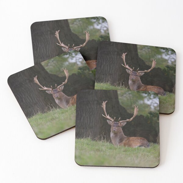 Item preview, Fallow Deer Stag.. designed and sold by LaurenTucker.
