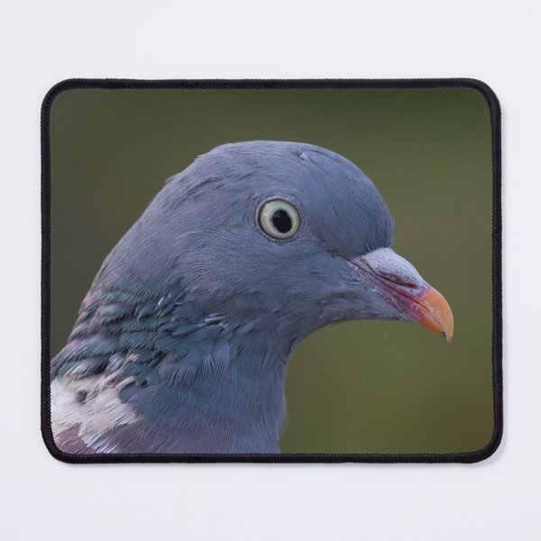 Item preview, Wood Pigeon.. designed and sold by LaurenTucker.