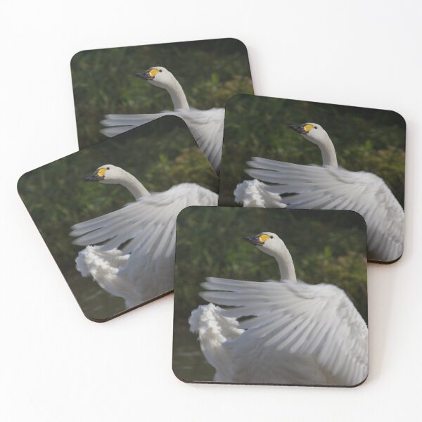 Item preview, Bewick Swan.. designed and sold by LaurenTucker.