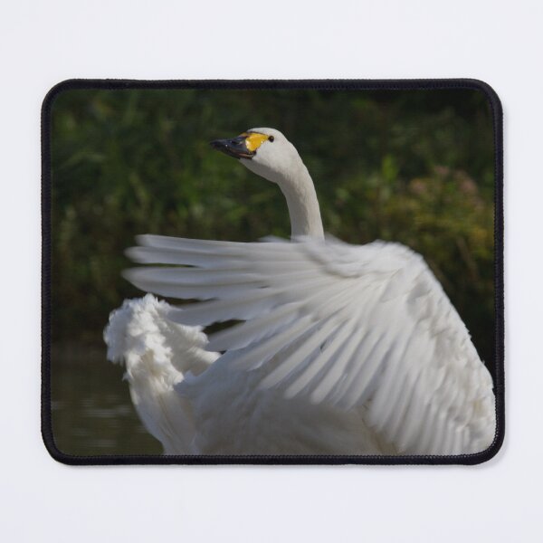 Item preview, Bewick Swan.. designed and sold by LaurenTucker.