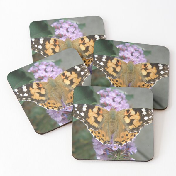 Item preview, Painted Lady Butterfly and Buddleia Photograph designed and sold by naturegallery.