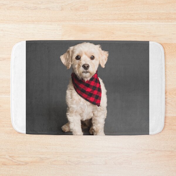 Item preview, dog photo with high resolution quality designed and sold by Allyouneed-2.