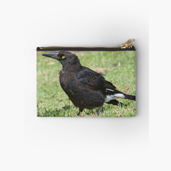 Item preview, A pied currawong designed and sold by Anthony Goldman.