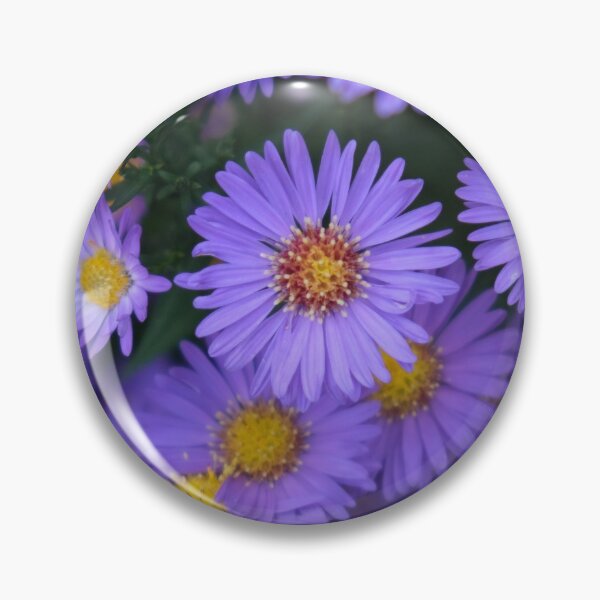 Item preview, Purple flowers - New England aster  designed and sold by Moritz Schwäble.