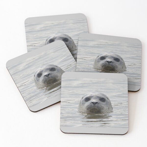 Item preview, Inquisitive Seal designed and sold by ClaireChown.