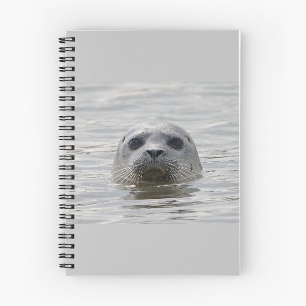 Item preview, Inquisitive Seal designed and sold by ClaireChown.