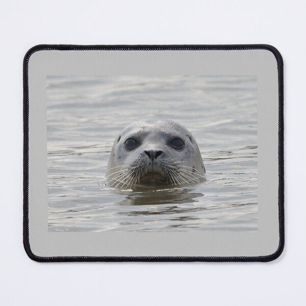 Item preview, Inquisitive Seal designed and sold by ClaireChown.