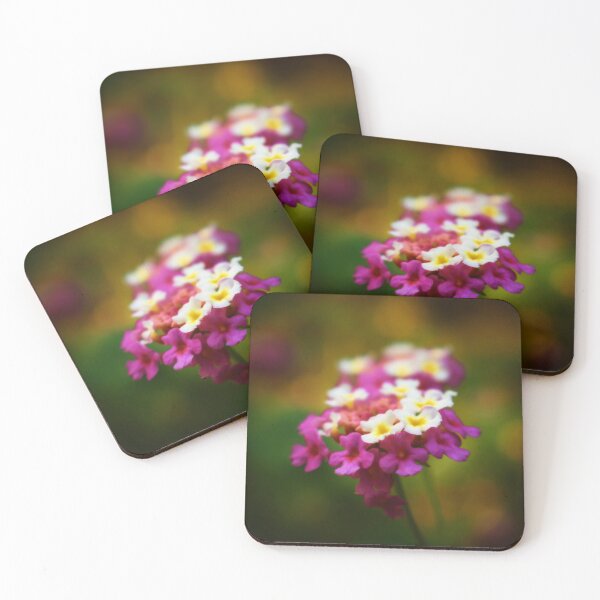 Item preview, Tenderly designed and sold by Melanie Uadjit.