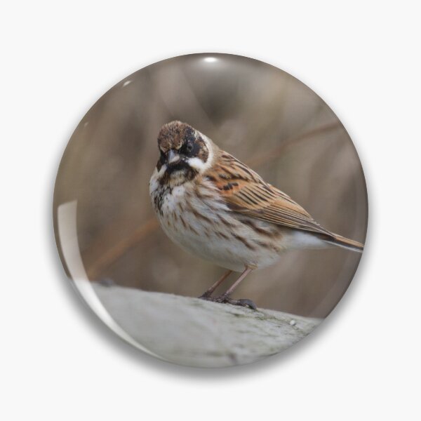 Item preview, Reed Bunting! designed and sold by LaurenTucker.