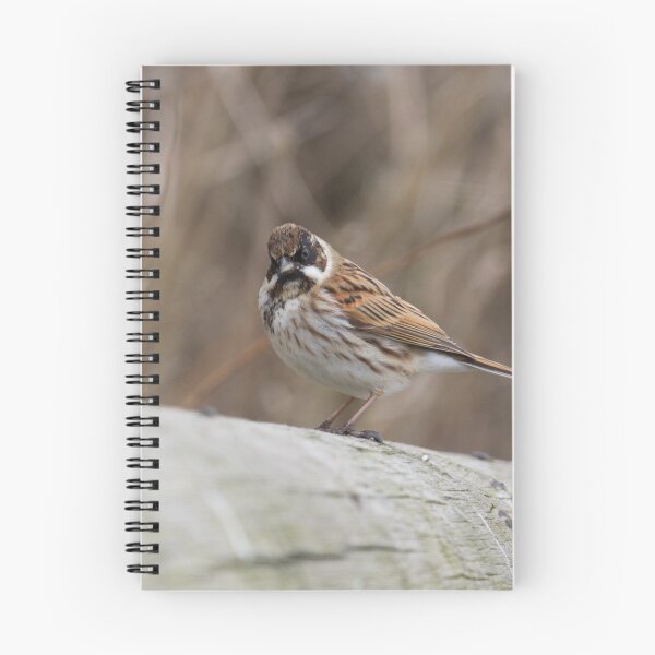 Item preview, Reed Bunting! designed and sold by LaurenTucker.