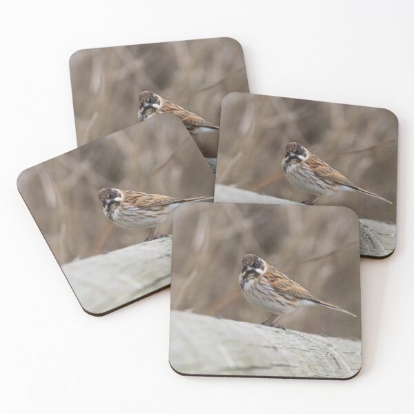 Item preview, Reed Bunting! designed and sold by LaurenTucker.