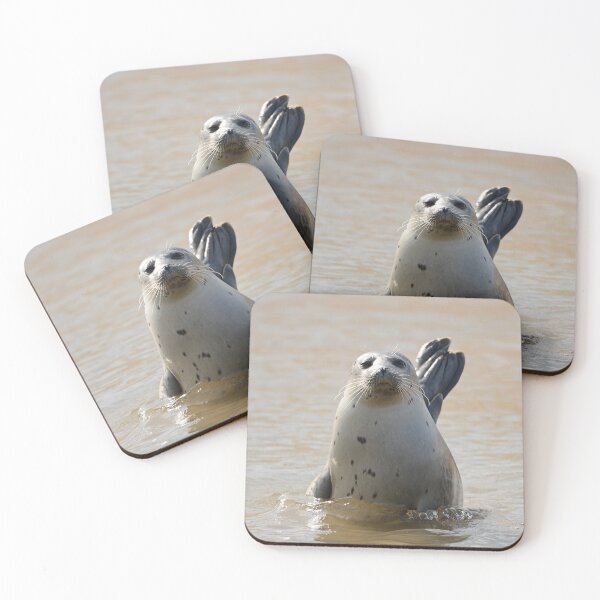 Item preview, Common Seal posing in the sun designed and sold by ClaireChown.