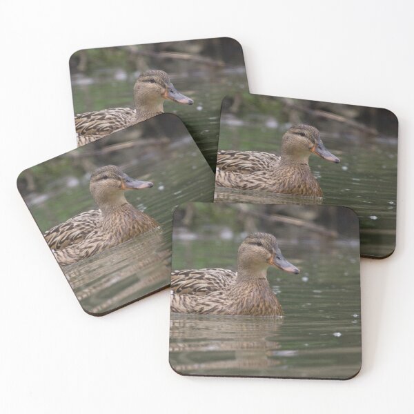Item preview, Mallard.. designed and sold by LaurenTucker.