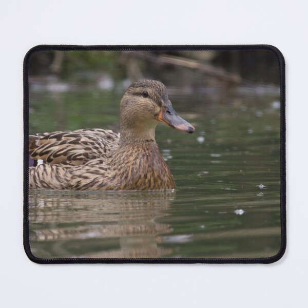 Item preview, Mallard.. designed and sold by LaurenTucker.