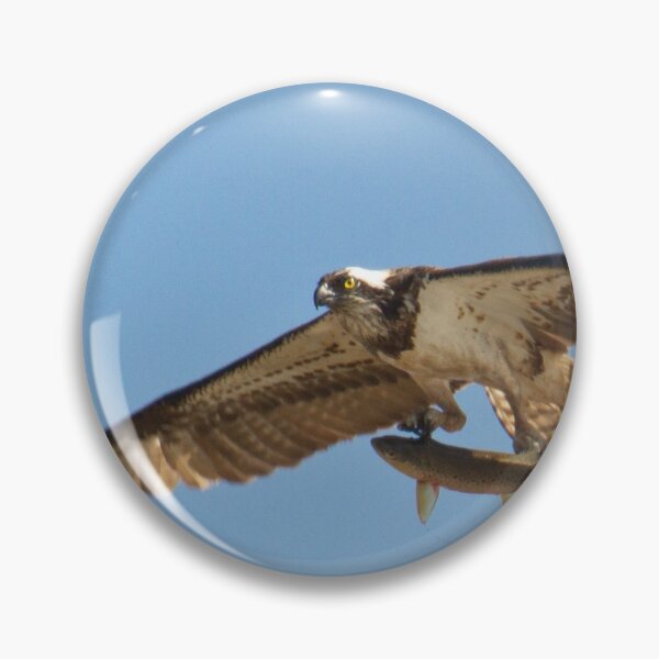 Artikelvorschau, Osprey With Trout !! entworfen und verkauft von LaurenTucker.
