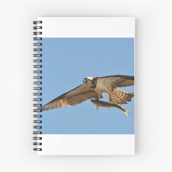 Item preview, Osprey With Trout !! designed and sold by LaurenTucker.