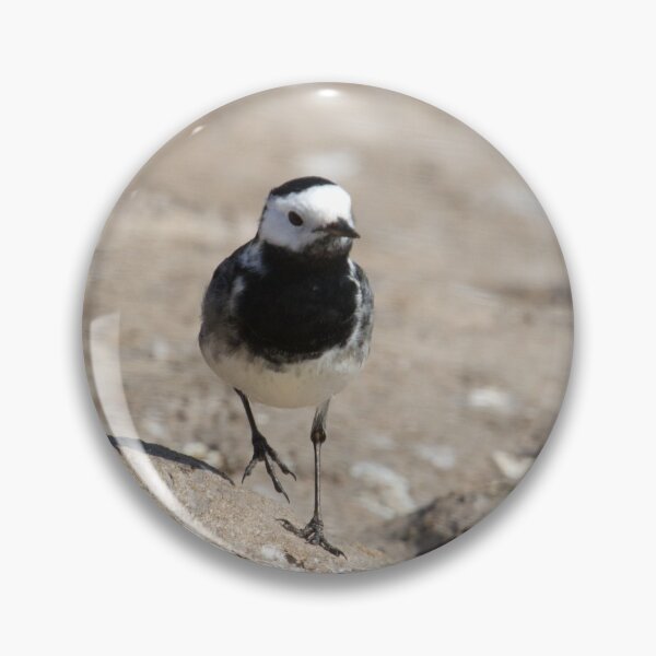 Item preview, Pied Wagtail designed and sold by LaurenTucker.