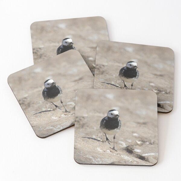 Item preview, Pied Wagtail designed and sold by LaurenTucker.