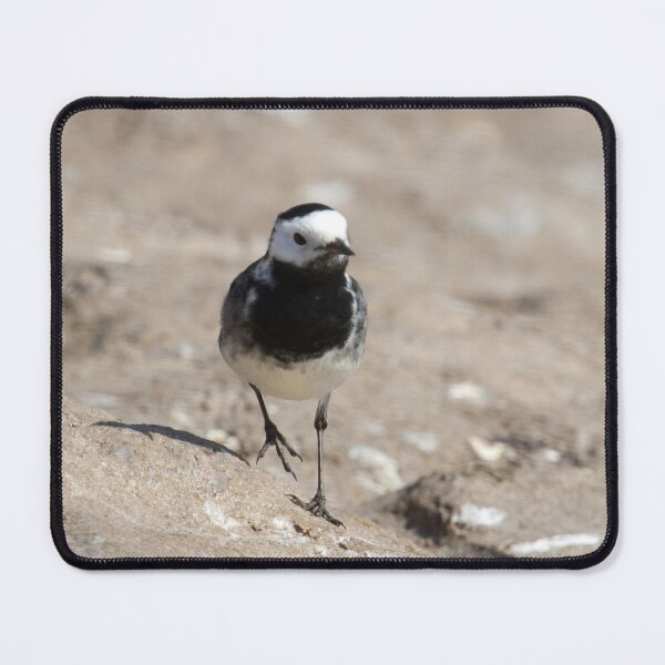 Item preview, Pied Wagtail designed and sold by LaurenTucker.
