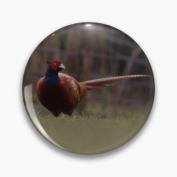 Item preview, Pheasant! designed and sold by LaurenTucker.