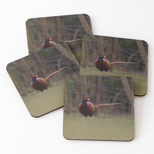 Item preview, Pheasant! designed and sold by LaurenTucker.
