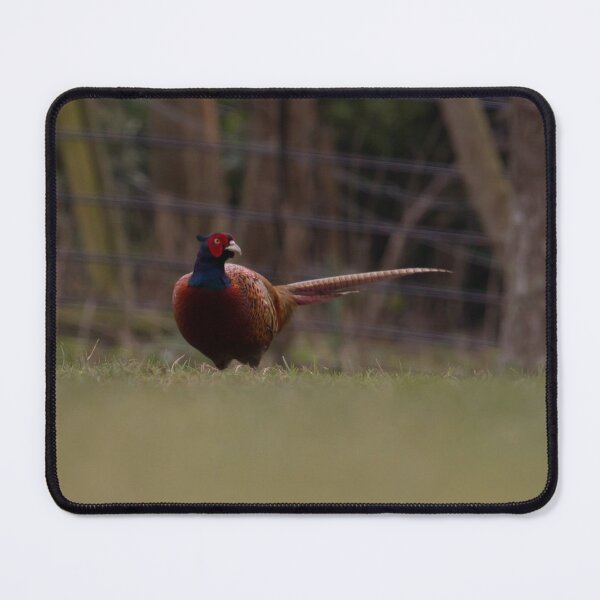 Item preview, Pheasant! designed and sold by LaurenTucker.