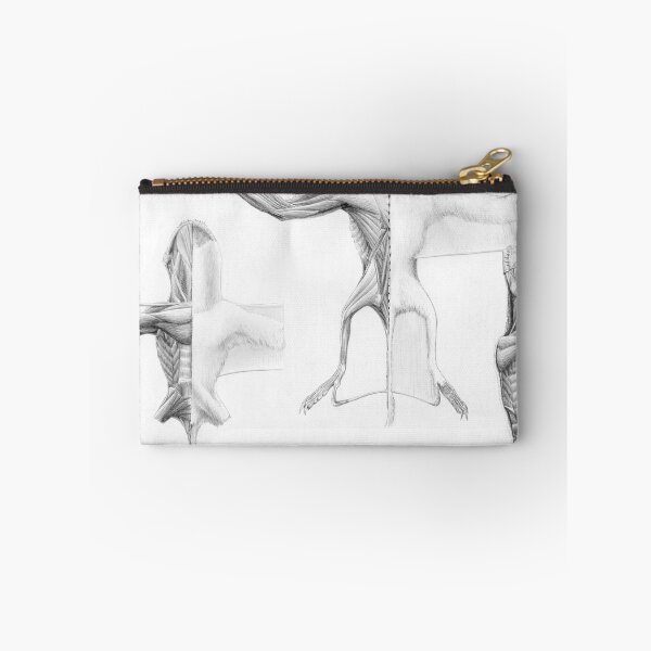 Item preview, Anurognath Muscle Study designed and sold by Jaime Headden.