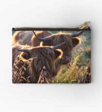 Highland Cattle at dusk Studio Pouch
