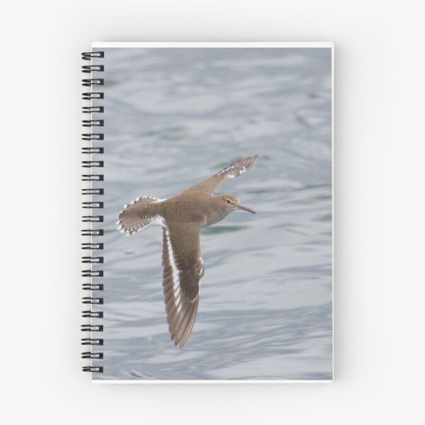 Item preview, In Flight.. designed and sold by LaurenTucker.