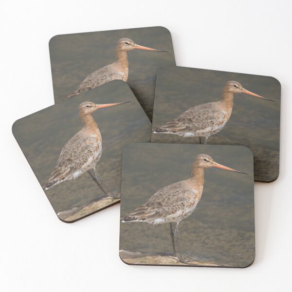 Item preview, Black-Tailed Godwit designed and sold by LaurenTucker.