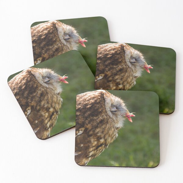 Item preview, Tawny Owl.. designed and sold by LaurenTucker.