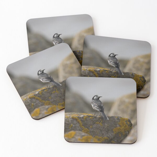 Item preview, Pied Wagtail.. designed and sold by LaurenTucker.