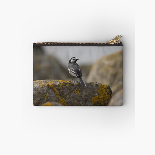 Item preview, Pied Wagtail.. designed and sold by LaurenTucker.