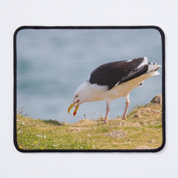 Item preview, Greater Black-Backed Gull designed and sold by LaurenTucker.