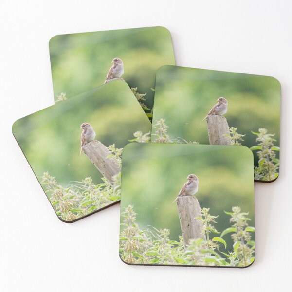 Item preview, House Sparrow - Passer domesticus designed and sold by LaurenTucker.