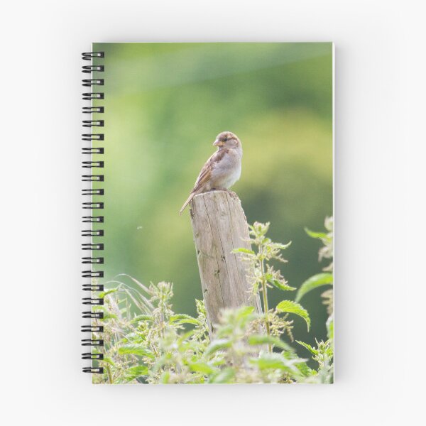 Item preview, House Sparrow - Passer domesticus designed and sold by LaurenTucker.