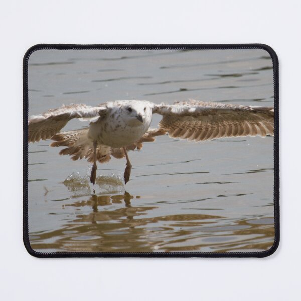 Item preview, Touch Down.. designed and sold by LaurenTucker.