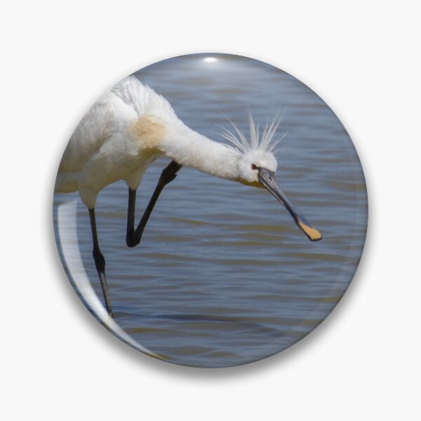 Item preview, Spoonbill! designed and sold by LaurenTucker.