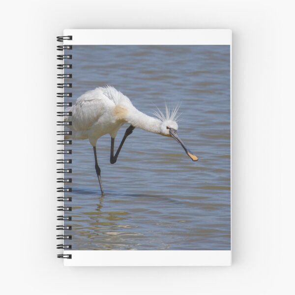 Item preview, Spoonbill! designed and sold by LaurenTucker.