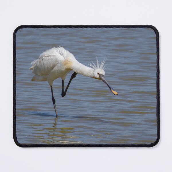 Item preview, Spoonbill! designed and sold by LaurenTucker.