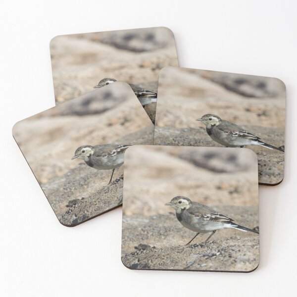 Item preview, Pied Wagtail.. designed and sold by LaurenTucker.