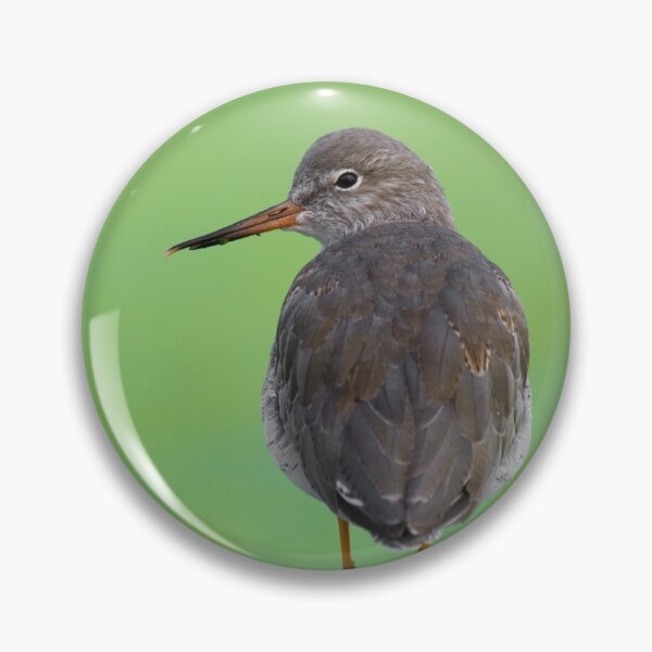 Item preview, Redshank On Green.. designed and sold by LaurenTucker.