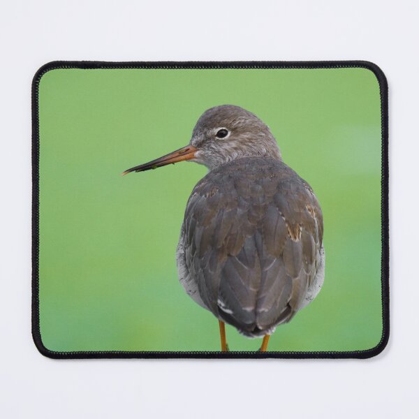 Item preview, Redshank On Green.. designed and sold by LaurenTucker.