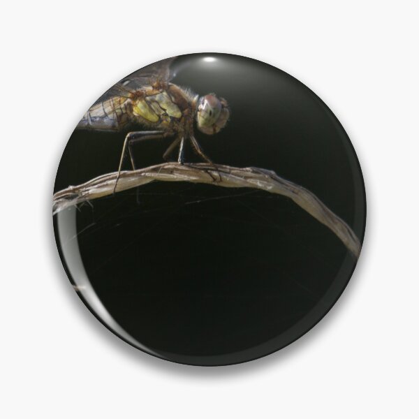 Artikelvorschau, Dragonflies Galore !! entworfen und verkauft von LaurenTucker.