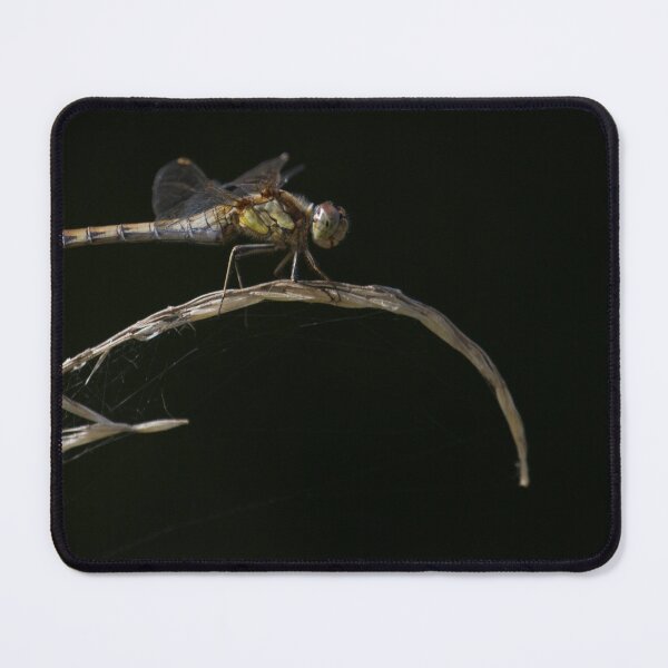 Item preview, Dragonflies Galore !! designed and sold by LaurenTucker.